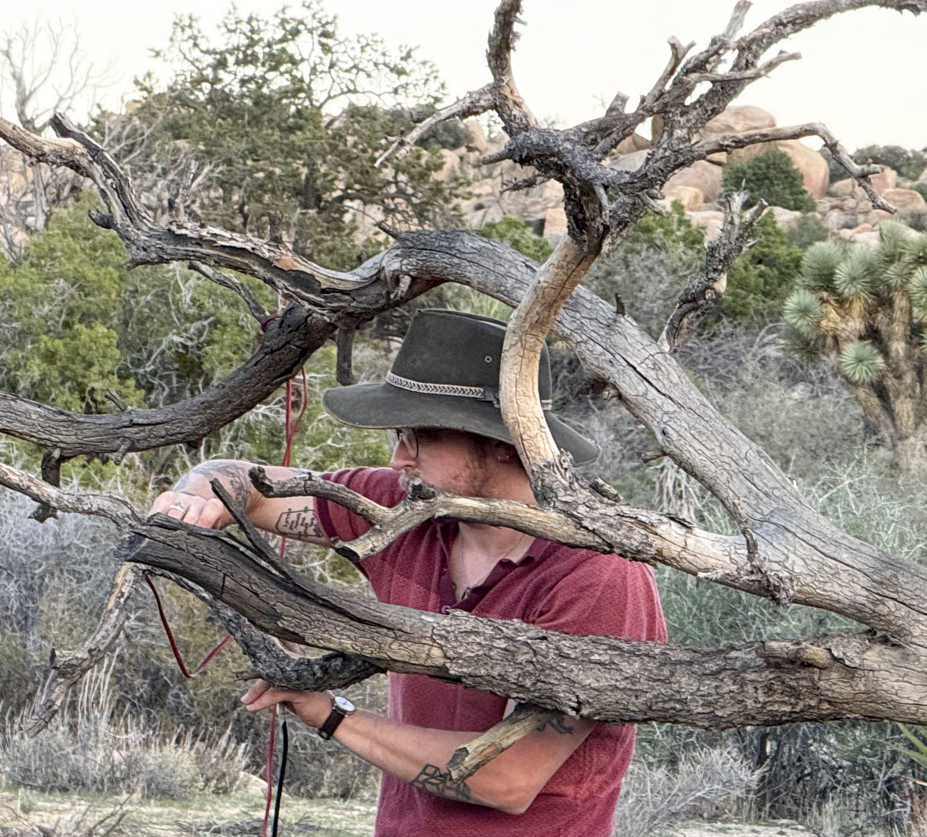 Sample vertical image